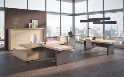 Кабинет руководителя Эра / Era