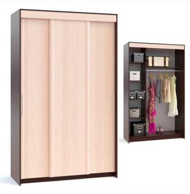 Шкаф-купе Контур ШР-156.2