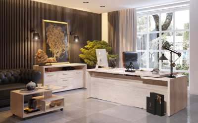 Кабинет руководителя Torr-Z