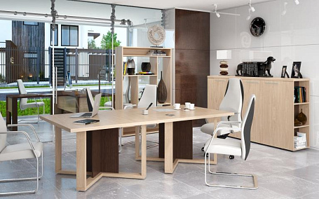 Кабинет руководителя Альто / Alto