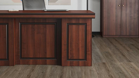 Кабинет руководителя Берн / Bern