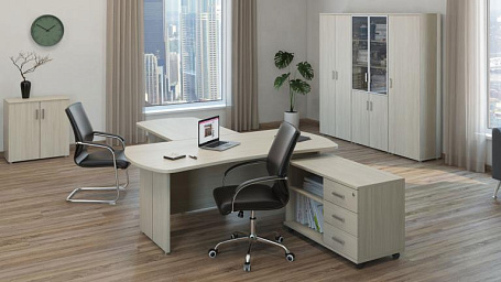 Кабинет руководителя Бонн / Bonn