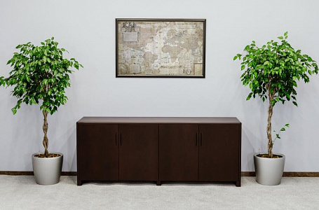 Кабинет руководителя Forte