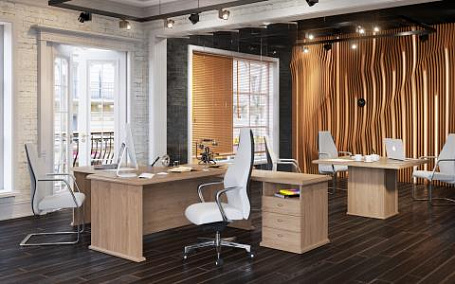 Кабинет руководителя Раут / Raut