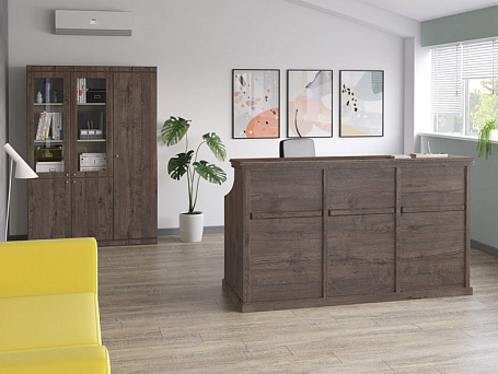 Кабинет руководителя Берн / Bern