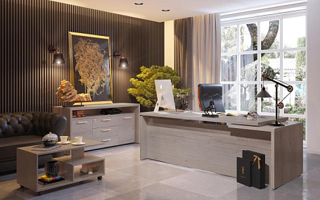 Кабинет руководителя Torr Зет / Torr-Z